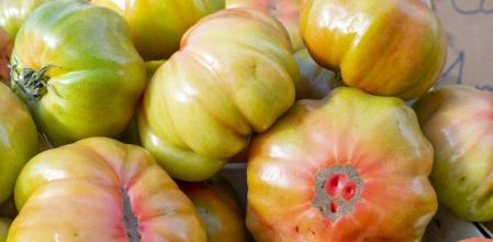 Tomate rosa de Barbastro