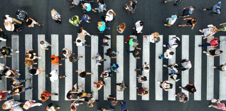 Descripción de la imagen