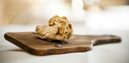 La trufa blanca es uno de los alimentos más caros del mundo
