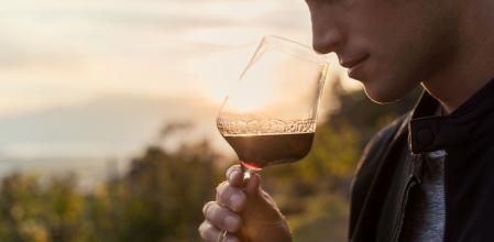 Vinos para saborear este otoño