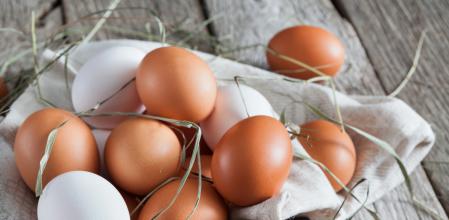 Huevos de distintos colores