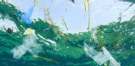 La mayoría de plástico biodegradable no se descompone si no se trata en plantas de reciclaje.