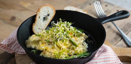 Revuelto de trigueros y germinados