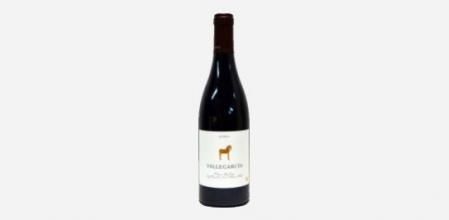 Vallegarcia Syrah 2018