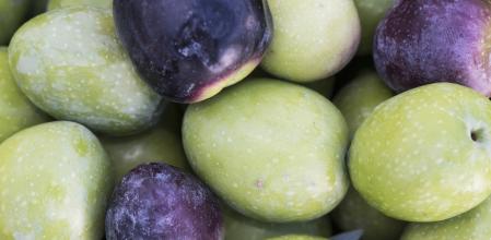 Olives of the Gordal variety are large fruits and green or reddish black color with a very pleasant taste to eat as a tapa flash lighting (Olives of the Gordal variety are large fruits and green or reddish black color with a very pleasant taste to eat