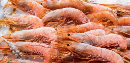 Langostino congelado