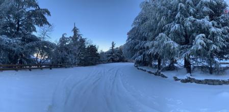 Llega el invierno a Sierra Nevada.