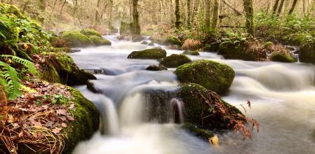 El río Mera domina el paisaje con su magia.