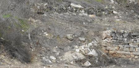 Reto visual: ¿eres capaz de ver a las cinco perdices?