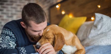 Young man laying on the bed with his dog. Hugging and kissing. Bedroom is decorated with Christmas string lights.