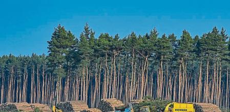 La colosal fábrica de Tesla en Alemania que seduce y divide