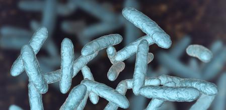 Imagen 3D de una microbiota intestinal normal