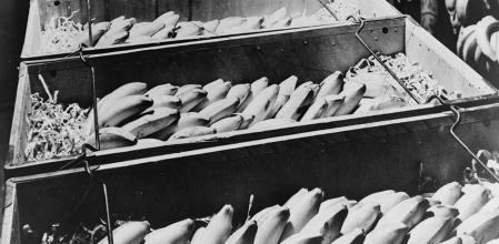 Plátanos en un almacén de United Fruit, 1948