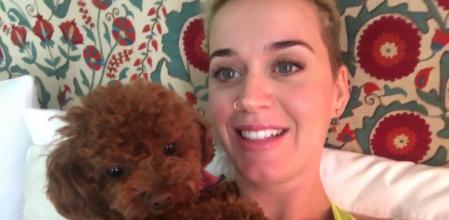 Katy Perry y su perro Nugget