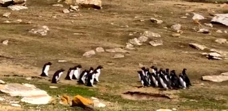 La divertida escena tuvo lugar en las Islas Maldivas