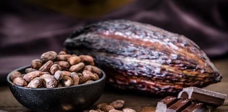 Porcentaje de cacao en el chocolate negro