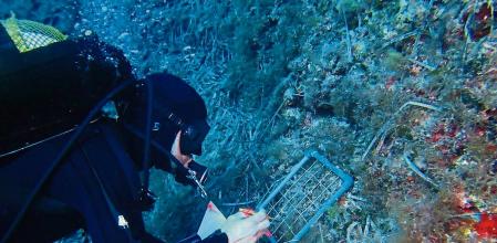 Un ejemplo de cómo los biólogos marinos toman muestras de organismos.