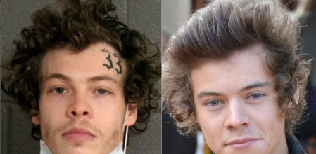 El ladrón que es idéntico a Harry Styles