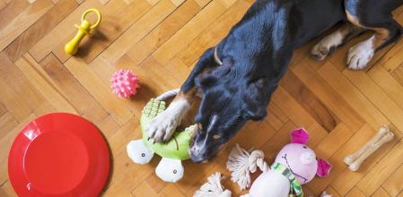 El reconocimiento de las palabras, el factor diferencial