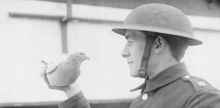 Un soldado británico con una paloma mensajera, en 1917