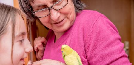 Senior Woman with her Granddaughter Admiring the Small Yellow and Green Parakeet
