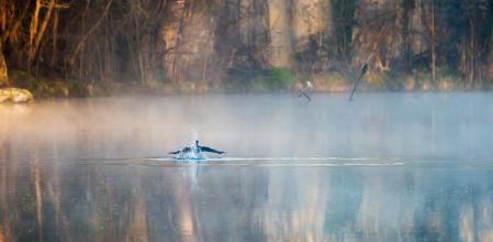 Amanecer humeante en el río Ter a su paso por Les Masies de Voltregà.