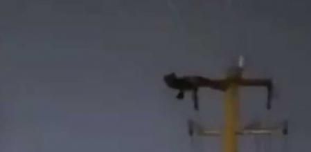 Las autoridades le detuvieron por desorden público