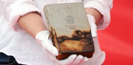 Un ejemplar de Amok, superviviente de las piras nazis