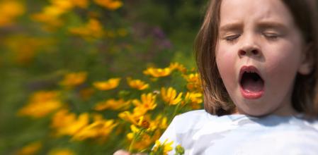 La temporada de alergias empieza antes y es más larga por culpa del cambio climático.