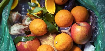 Varias frutas en una bolsa de basura