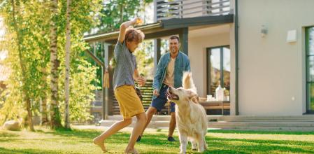 Handsome Father, and Son Play Catch With Loyal Family Friend Golden Retriever Dog. Family Spending Time Together Training Dog. Sunny Day Idyllic Suburban Home Backyard. (Handsome Father, and Son Play Catch With Loyal Family Friend Golden Retriever Dog