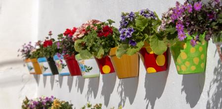 Flowerpots filled with blooming flowers hanging on a white stucco wall in Andalusia, Spain.