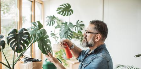 Mature man caring about his plants during corona virus isolation period