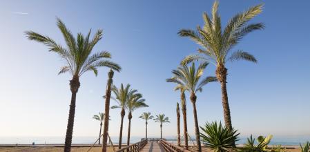 Playa de Els Terrers de Benicàssim