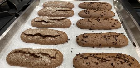 Bizcochos de soletilla de chocolate