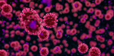 Sistema inmunológico