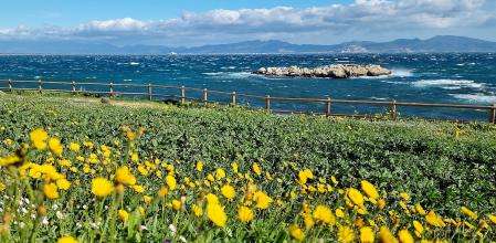 El color de la tramuntana.