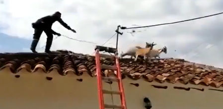 Algunos vecinos asistieron atónitos a la surrealista escena