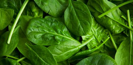 Espinacas, el alimento más conocido contra la anemia
