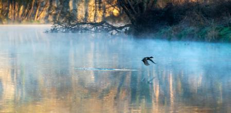 Les Masies de Voltregà.