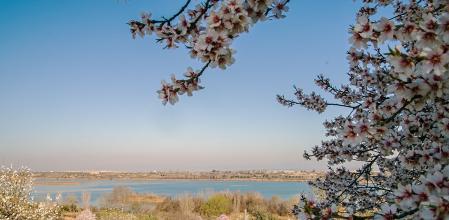 El lago de Ivars y Vila-Sana.