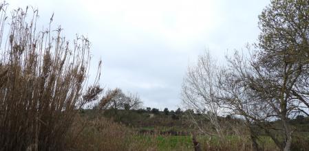 Reto visual de la cruz en el paisaje de La Prenyanosa.