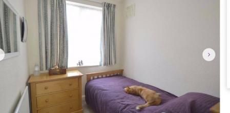 Una sorpresa de lo más inesperada