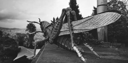 Fotografía de manel übeda de la serie 'Després del record' que presenta en el MNAC de Barcelona