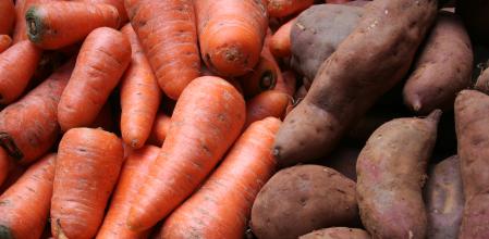 Boniato y zanahoria