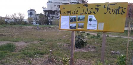 Plantación vecinal en una zona del PAI de Benimaclet