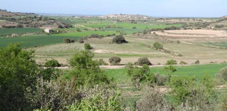 Reto visual de los dos conejos.