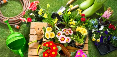 Herramientas para plantar flores en el jardín.