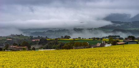 Santa Cecília de Voltregà.