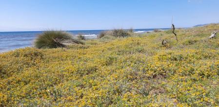 Vistas de los alrededores de la playa de Gavà.